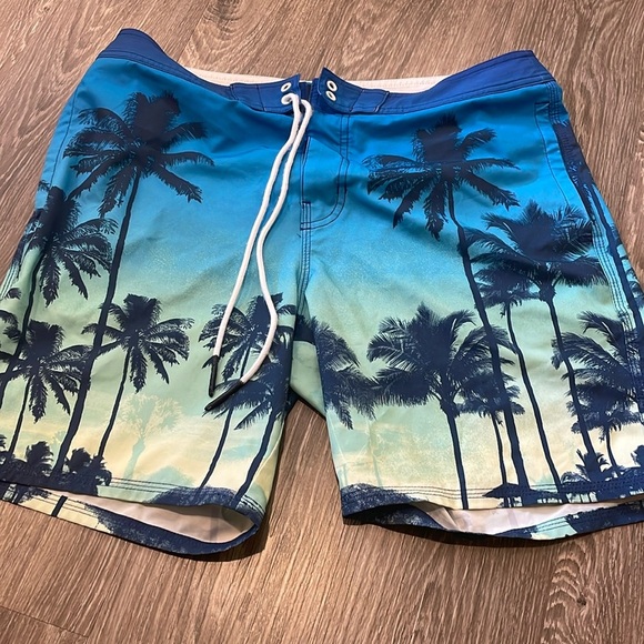 American Eagle Outfitters Other - American Eagle Swim Trunks
